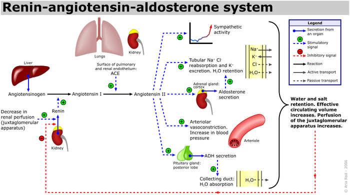 複習 – 高血壓(Hypertension)簡介與評估
