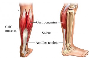 強者的致命弱點 – 阿基里斯腱斷裂(Achilles tendon&nbsp;rupture)