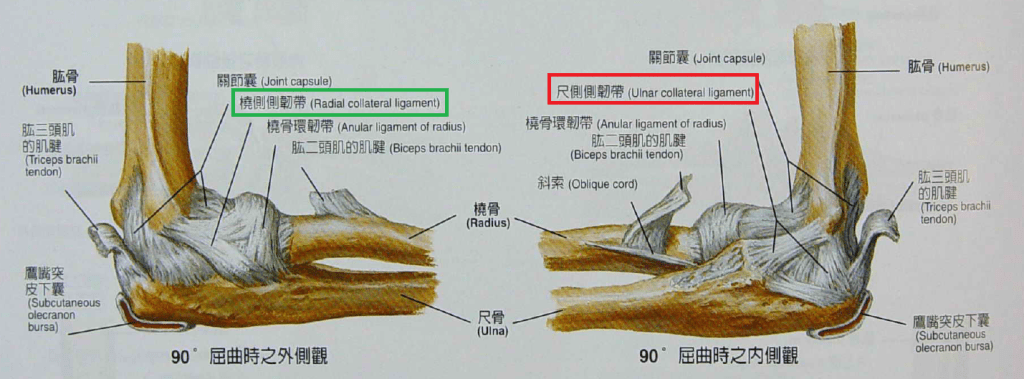 棒球投手生涯的延續 – Tommy&nbsp;John手術